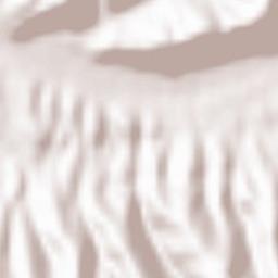 Băuţar Terrain Map