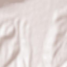 Sarmizegetusa Terrain Map