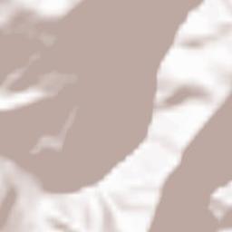 Comuna Câineni Terrain Map