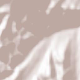 Moieciu de Jos Terrain Map