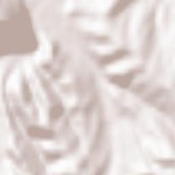 Comuna Bran Terrain Map