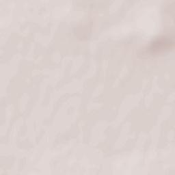 Susanino Terrain Map