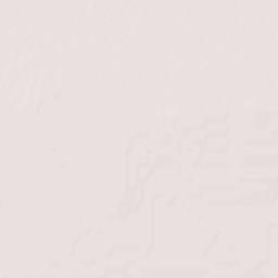 Hampstead Terrain Map