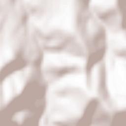 Saint-Paul-en-Jarez Terrain Map