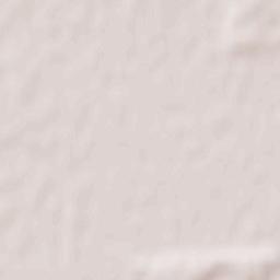 Budaševo Terrain Map