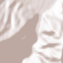 Râu de Mori Terrain Map