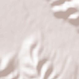 Baru Mic Terrain Map