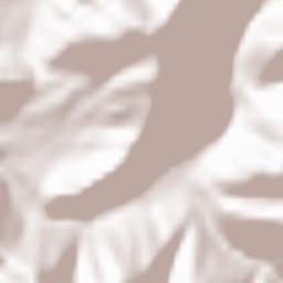 Greblești Terrain Map