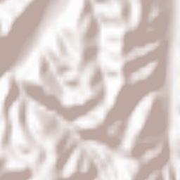 Moeciu de Jos Terrain Map