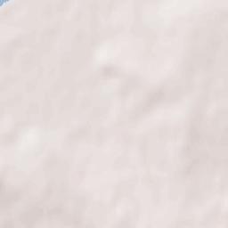 Lesozavodsk Terrain Map