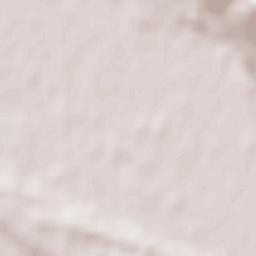 Palazzo Canavese Terrain Map