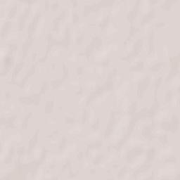 Camisano Terrain Map