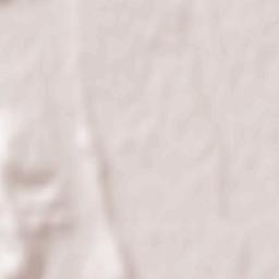 Păltiniş Terrain Map