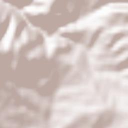 Comuna Boişoara Terrain Map