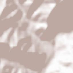 Lunca Priporului Terrain Map