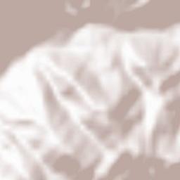 Bâsca Rozilei Terrain Map