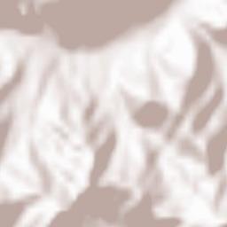 Furtunești Terrain Map