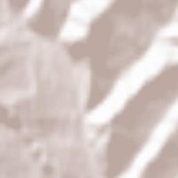 Comuna Pardoşi Terrain Map