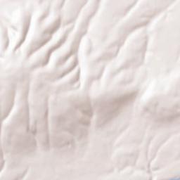 King City Terrain Map