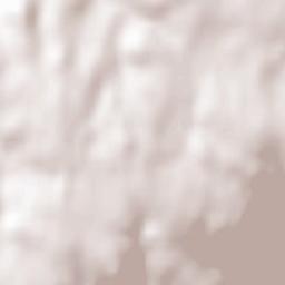 Saint-Maurice-en-Gourgois Terrain Map