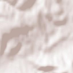 La Ricamarie Terrain Map