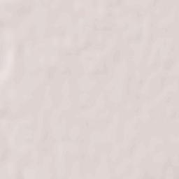 Berzovia Terrain Map