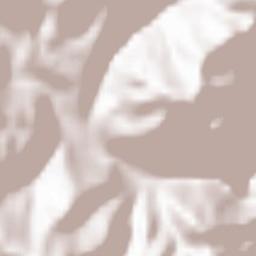 Comuna Voineasa Terrain Map