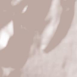 Saint-Vincent-de-Mercuze Terrain Map