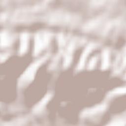 Grožnjan-Grisignana Terrain Map