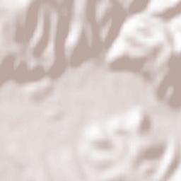 Oraş Bocşa Terrain Map