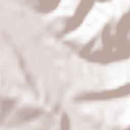 Turnu Ruieni Terrain Map