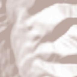 Poiana Țapului Terrain Map