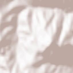 Comuna Căneşti Terrain Map