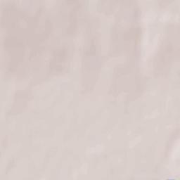 Okunevka Terrain Map