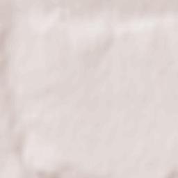 Belinskoye Terrain Map