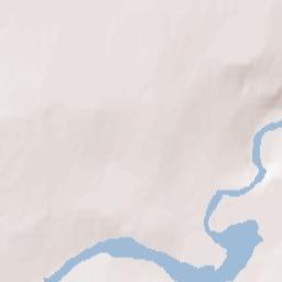 Rock Forest Terrain Map