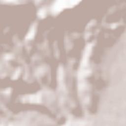 Pertusio Terrain Map