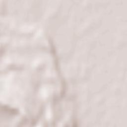 Mercenasco Terrain Map