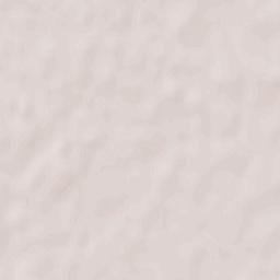 Provincia di Padova Terrain Map