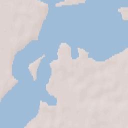 Banatski Despotovac Terrain Map