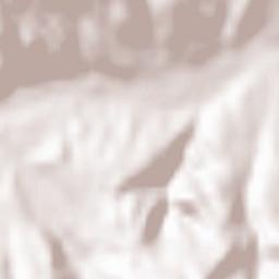 Municipiul  Lupeni Terrain Map