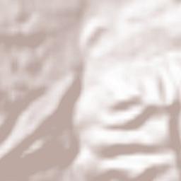 Comuna Nucşoara Terrain Map