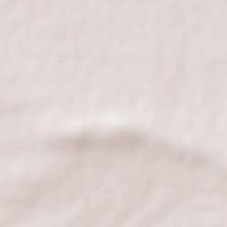 Chistopolye Terrain Map