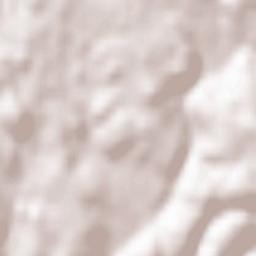 Jonzieux Terrain Map