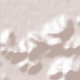 Torreglia Terrain Map