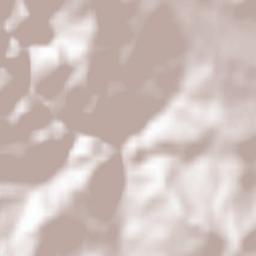 Nucşoara Terrain Map