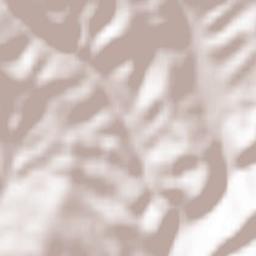 Albeşti Terrain Map