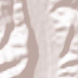 Comuna Lereşti Terrain Map