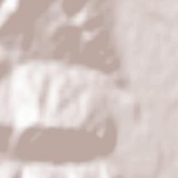 Burueneşti Terrain Map