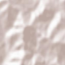 Blăjani Terrain Map